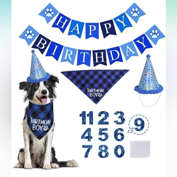 4 for $25 pet birthday decorations (flaw on hat) - Picture 2 of 9